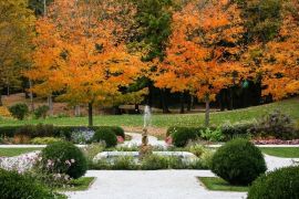 Điểm danh những khu vườn ấn tượng nhất nước Mỹ mùa thu